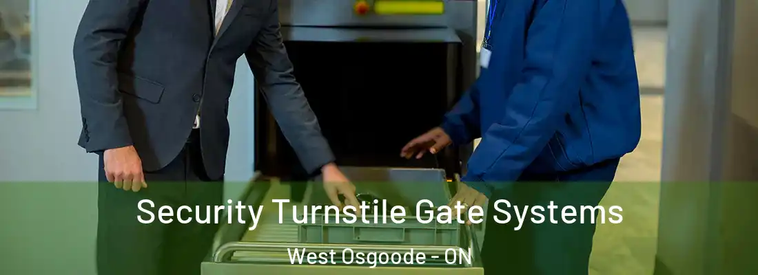  Security Turnstile Gate Systems West Osgoode - ON