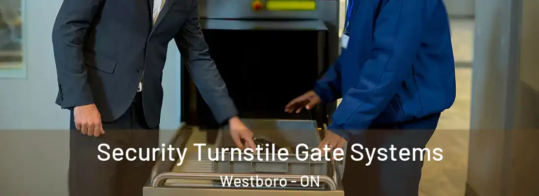  Security Turnstile Gate Systems Westboro - ON