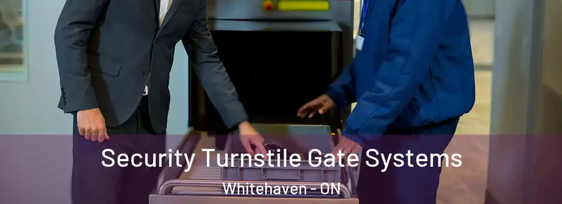  Security Turnstile Gate Systems Whitehaven - ON