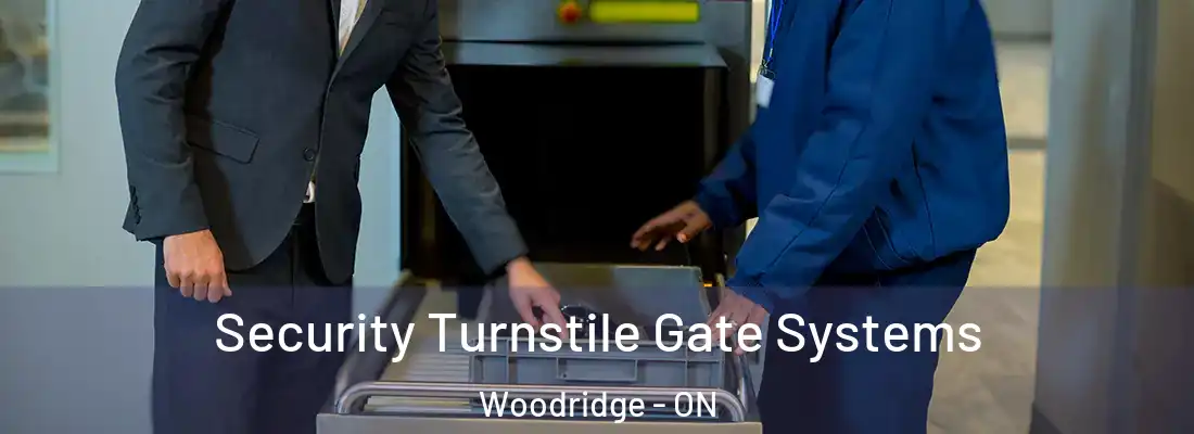  Security Turnstile Gate Systems Woodridge - ON