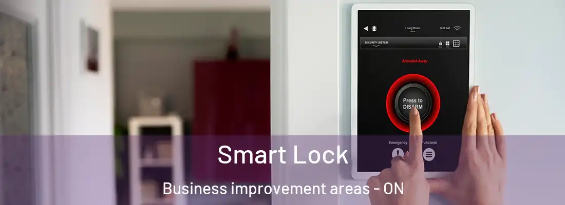  Smart Lock Business improvement areas - ON