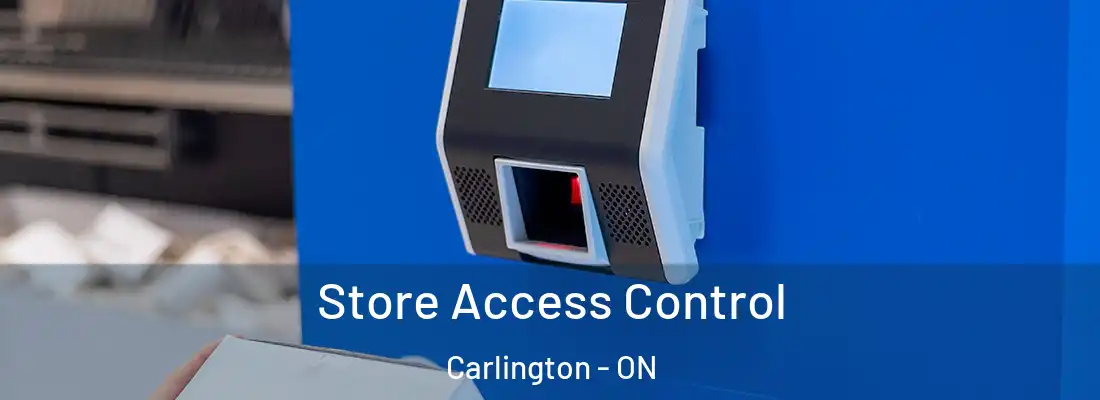  Store Access Control Carlington - ON