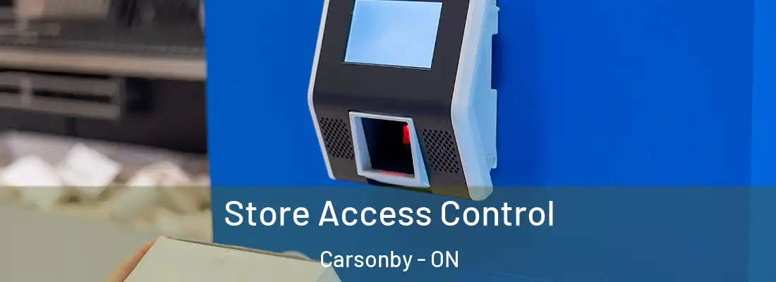 Store Access Control Carsonby - ON