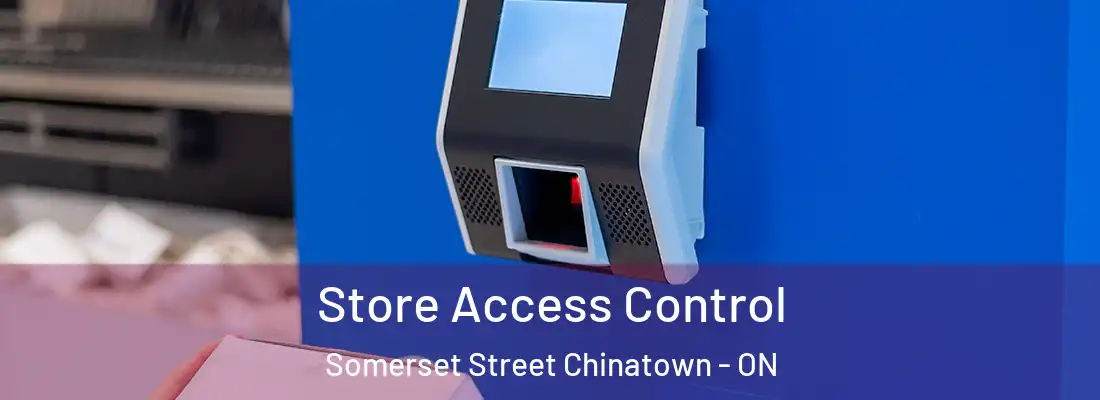 Store Access Control Somerset Street Chinatown - ON
