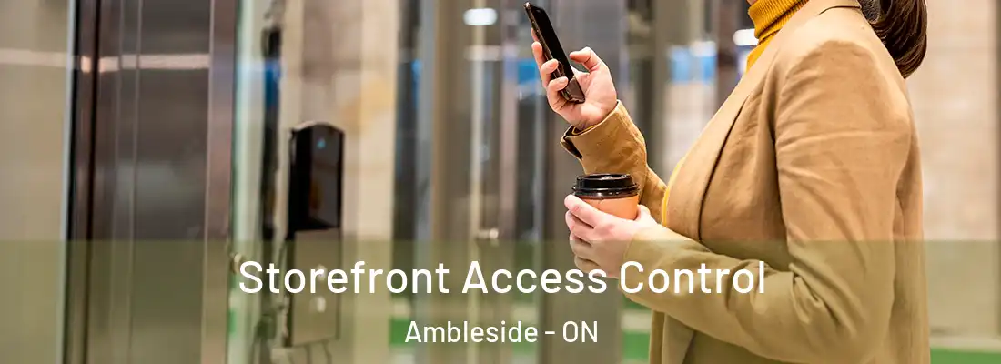  Storefront Access Control Ambleside - ON
