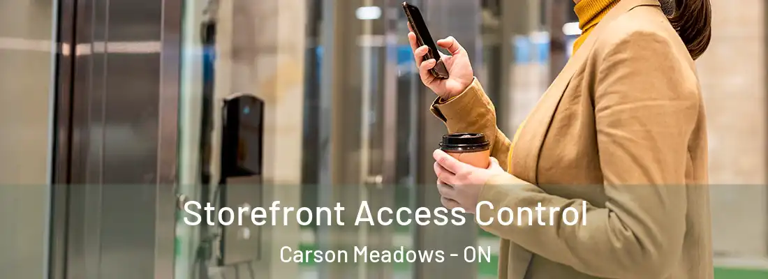  Storefront Access Control Carson Meadows - ON