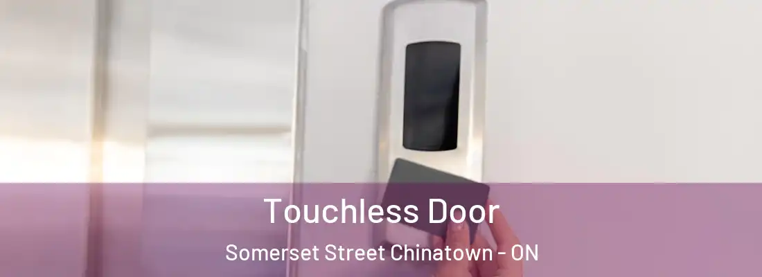  Touchless Door Somerset Street Chinatown - ON
