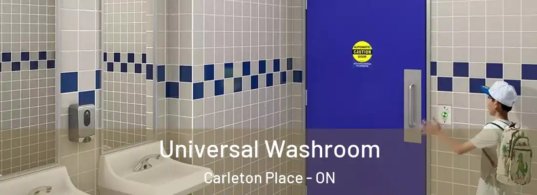  Universal Washroom Carleton Place - ON