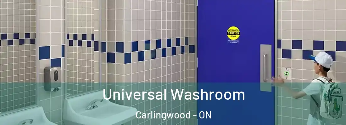  Universal Washroom Carlingwood - ON