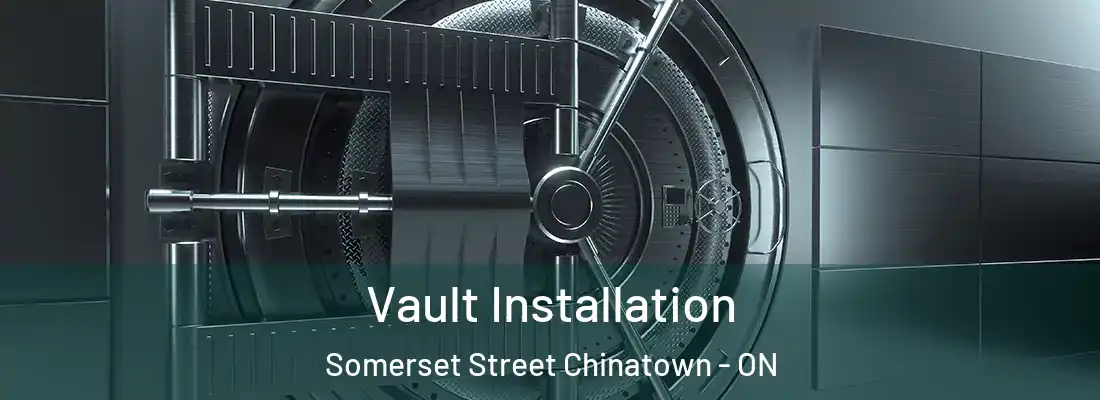  Vault Installation Somerset Street Chinatown - ON