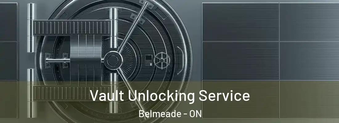  Vault Unlocking Service Belmeade - ON