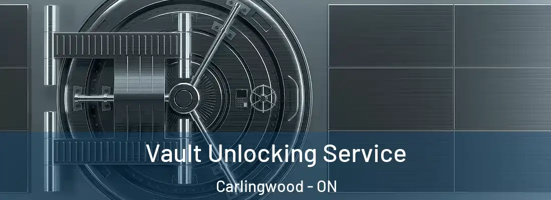  Vault Unlocking Service Carlingwood - ON