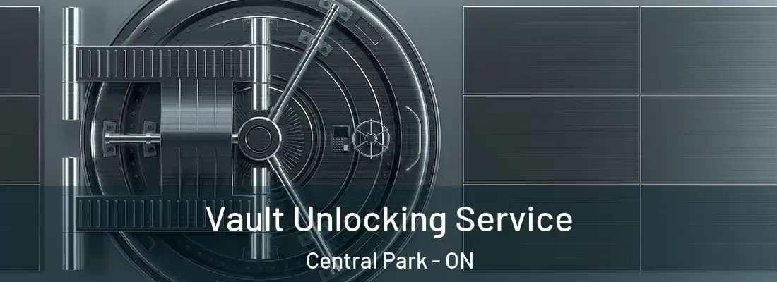  Vault Unlocking Service Central Park - ON