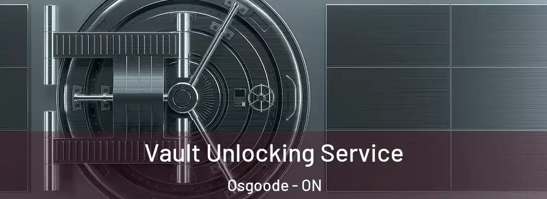  Vault Unlocking Service Osgoode - ON