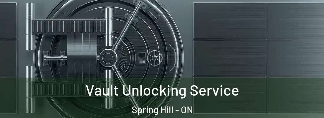  Vault Unlocking Service Spring Hill - ON