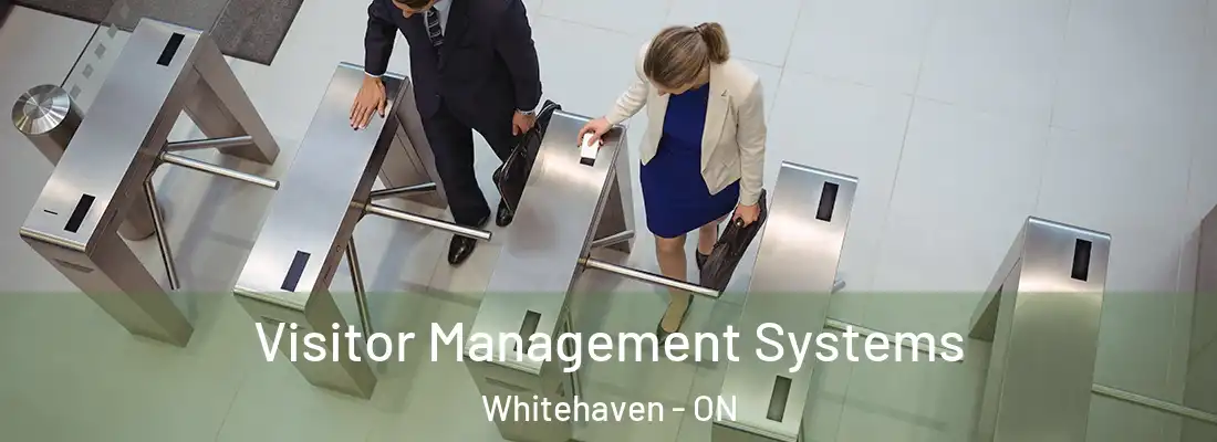  Visitor Management Systems Whitehaven - ON