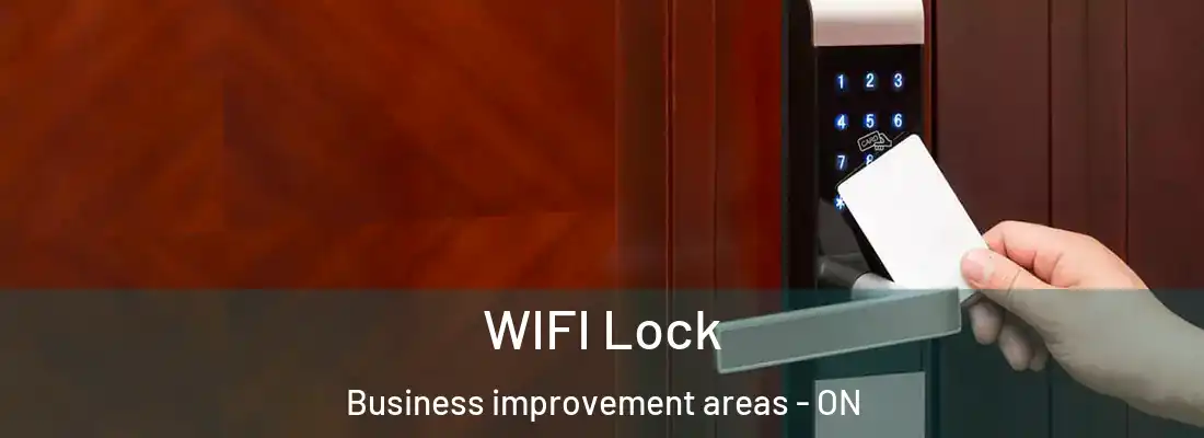  WIFI Lock Business improvement areas - ON