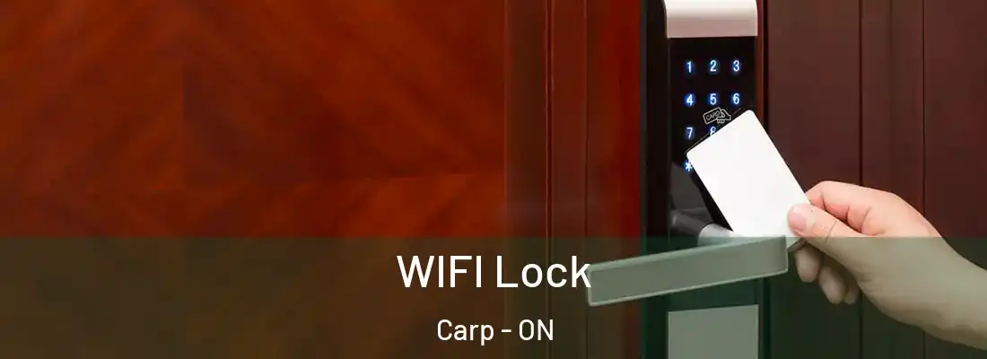  WIFI Lock Carp - ON